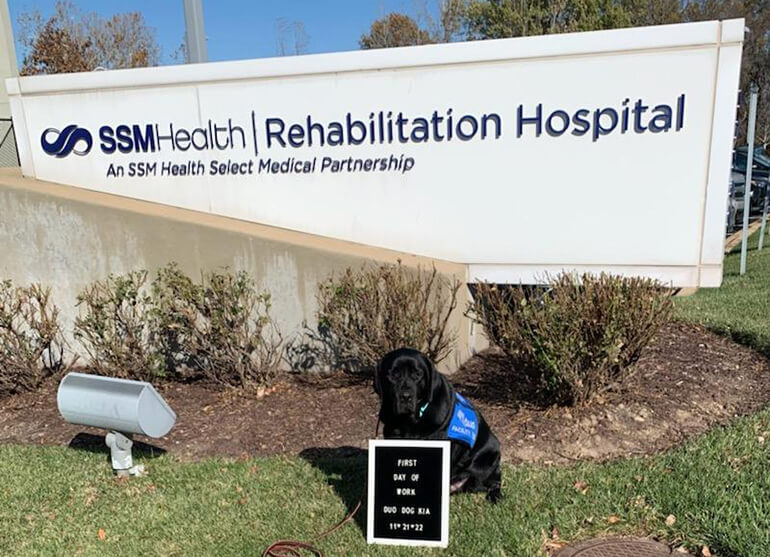 Kia, a black Dua Dog, sitting in front of the SSM Health Rehabilitation Hospital sign.